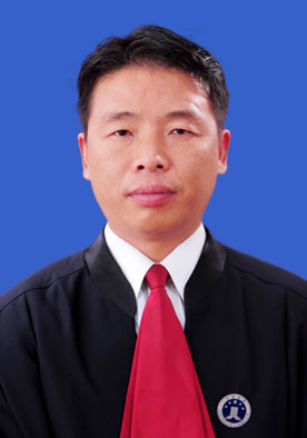 �����I�Ɏ�